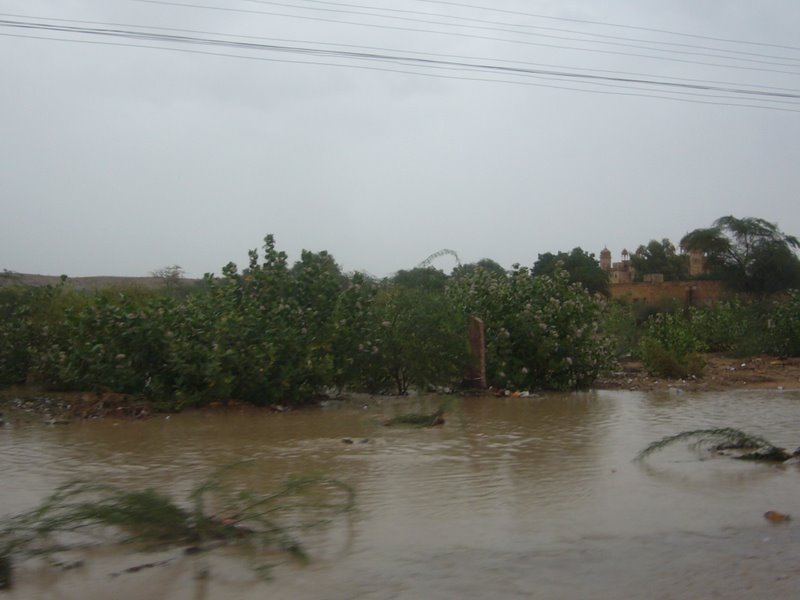 Travel - India - Rajasthan - Desert Camel Trip - Desert Rain